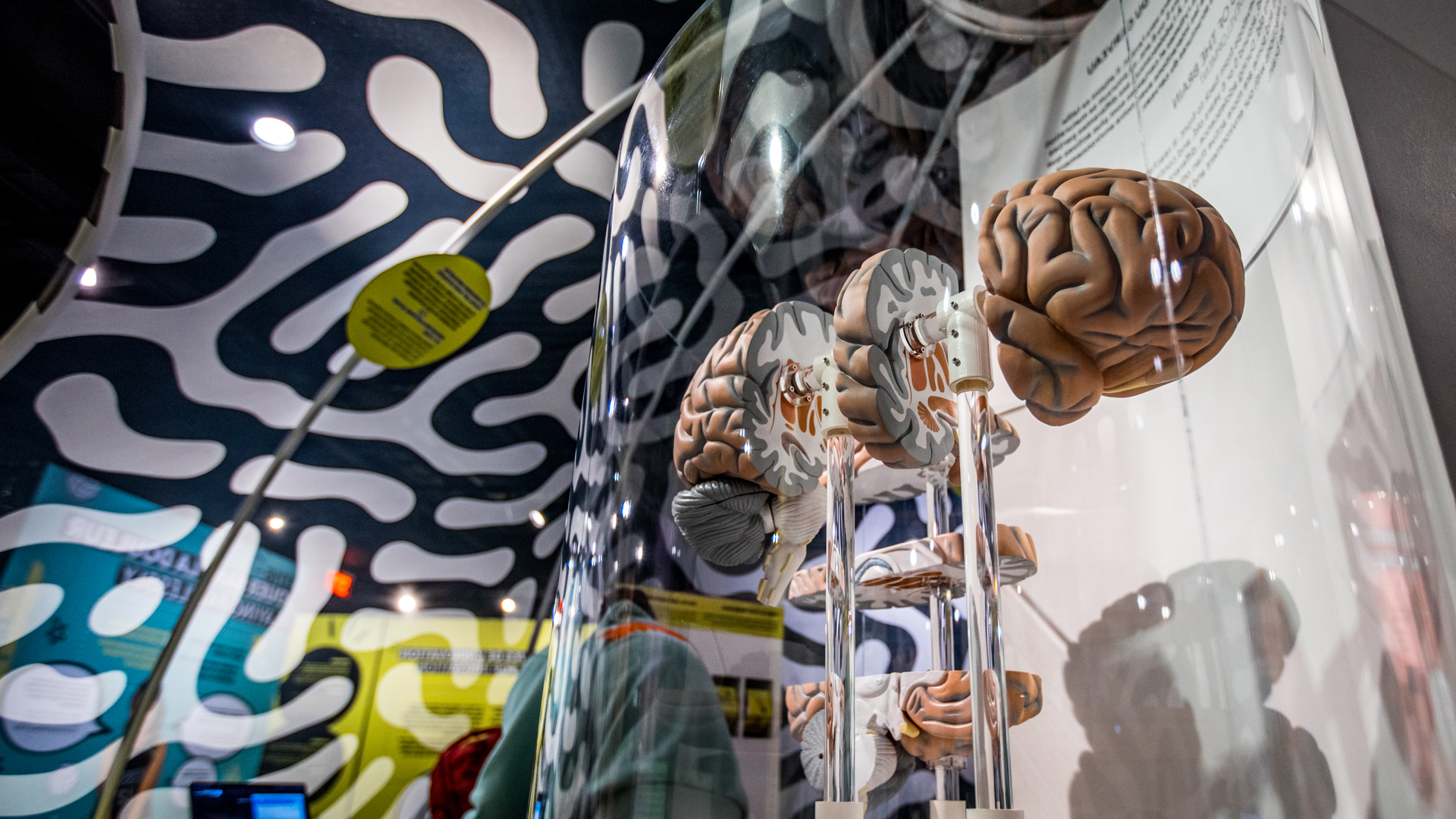 Ados : cerveaux inventifs