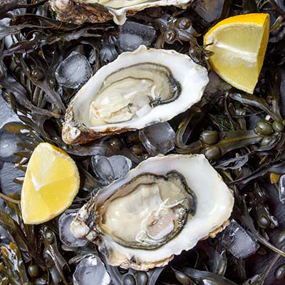 Bar à huîtres du Grand Marché