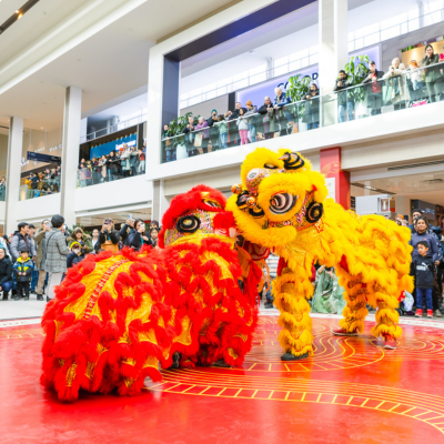 Célébration du Nouvel An lunaire