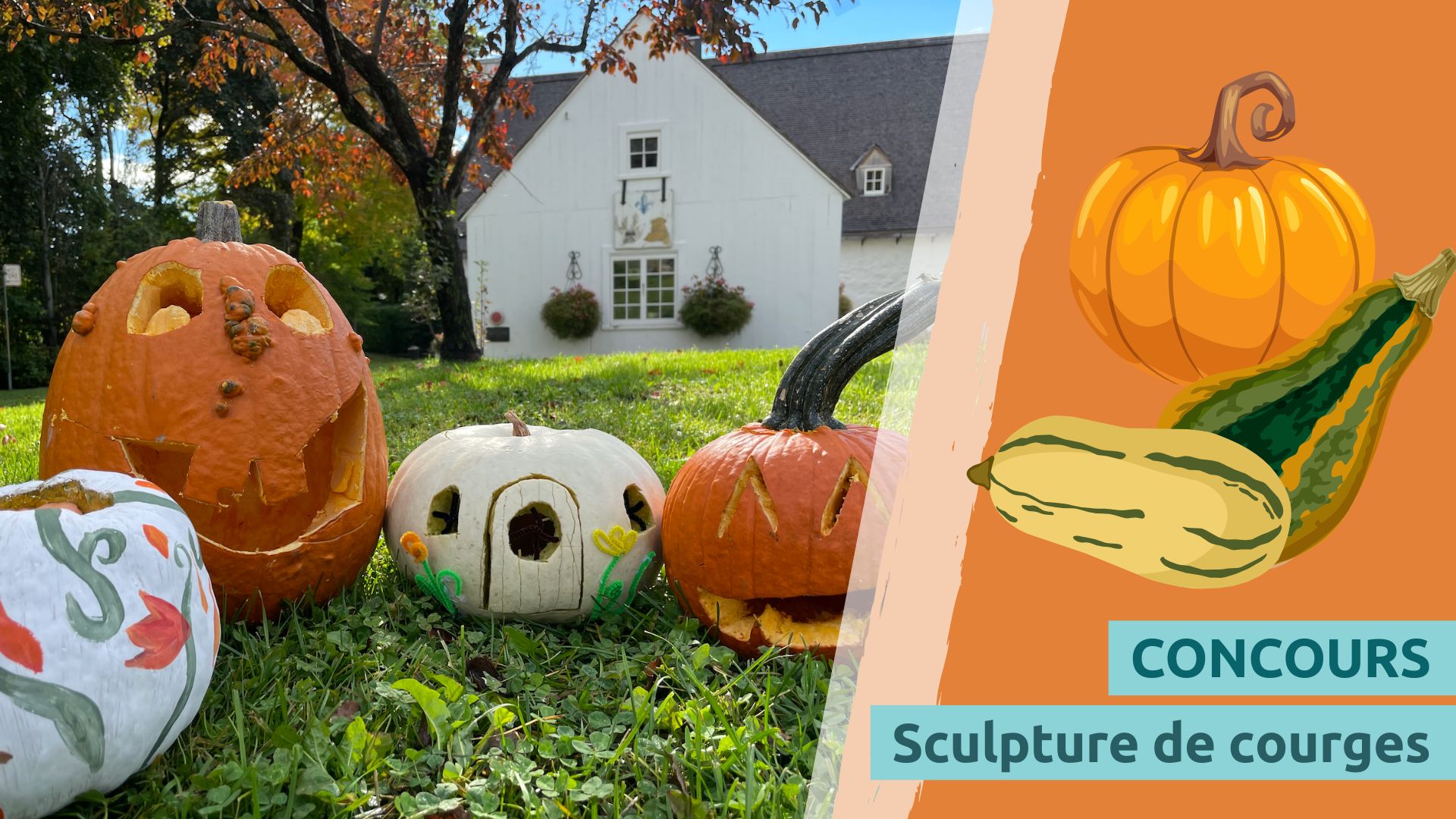 Concours de sculpture de citrouilles