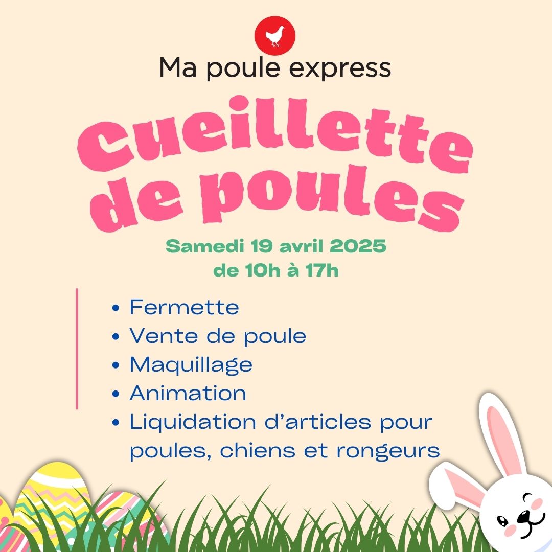 Cueillette de poules