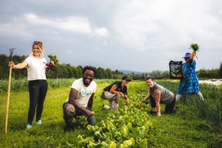Découverte de légumes exotiques