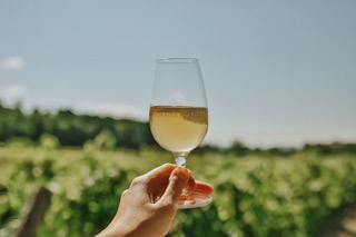 Découvrir La Route des Vins de Brome-Missisquoi