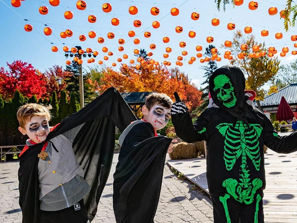 Des décorations et de nombreuses surprises au Zoo de Granby