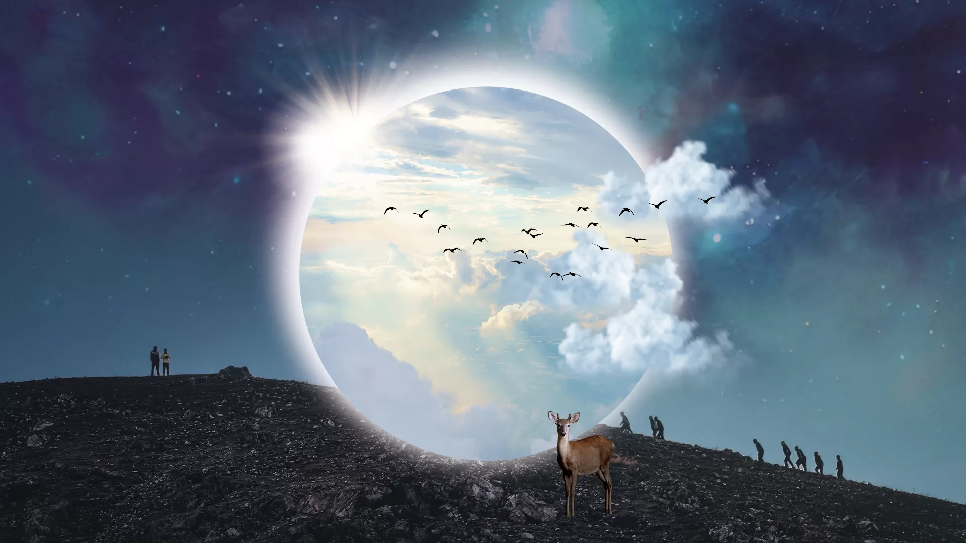 Festival cinéma du monde de Sherbrooke