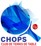 Festival du tennis de table