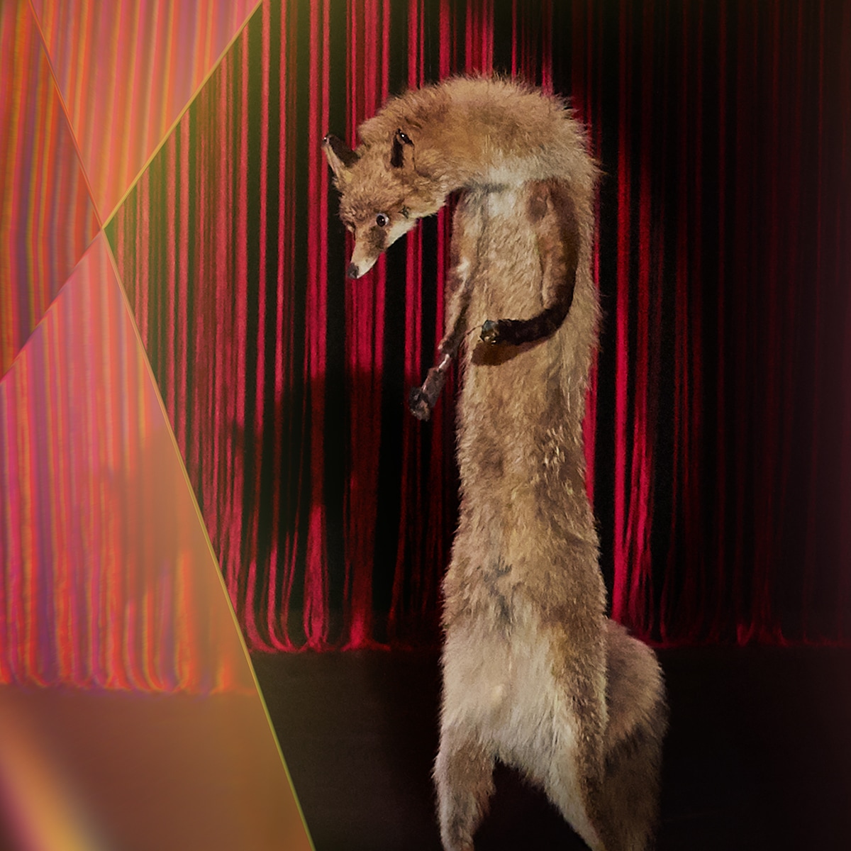 Goupil & Kosmao, Compagnie Monstre(s)