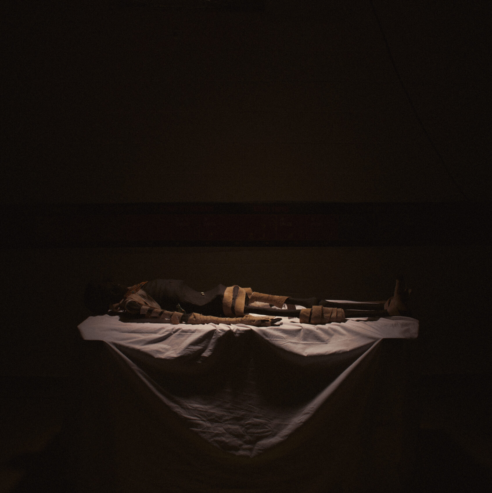 Héritage et Sarcophage : Des Momies dans le Placard