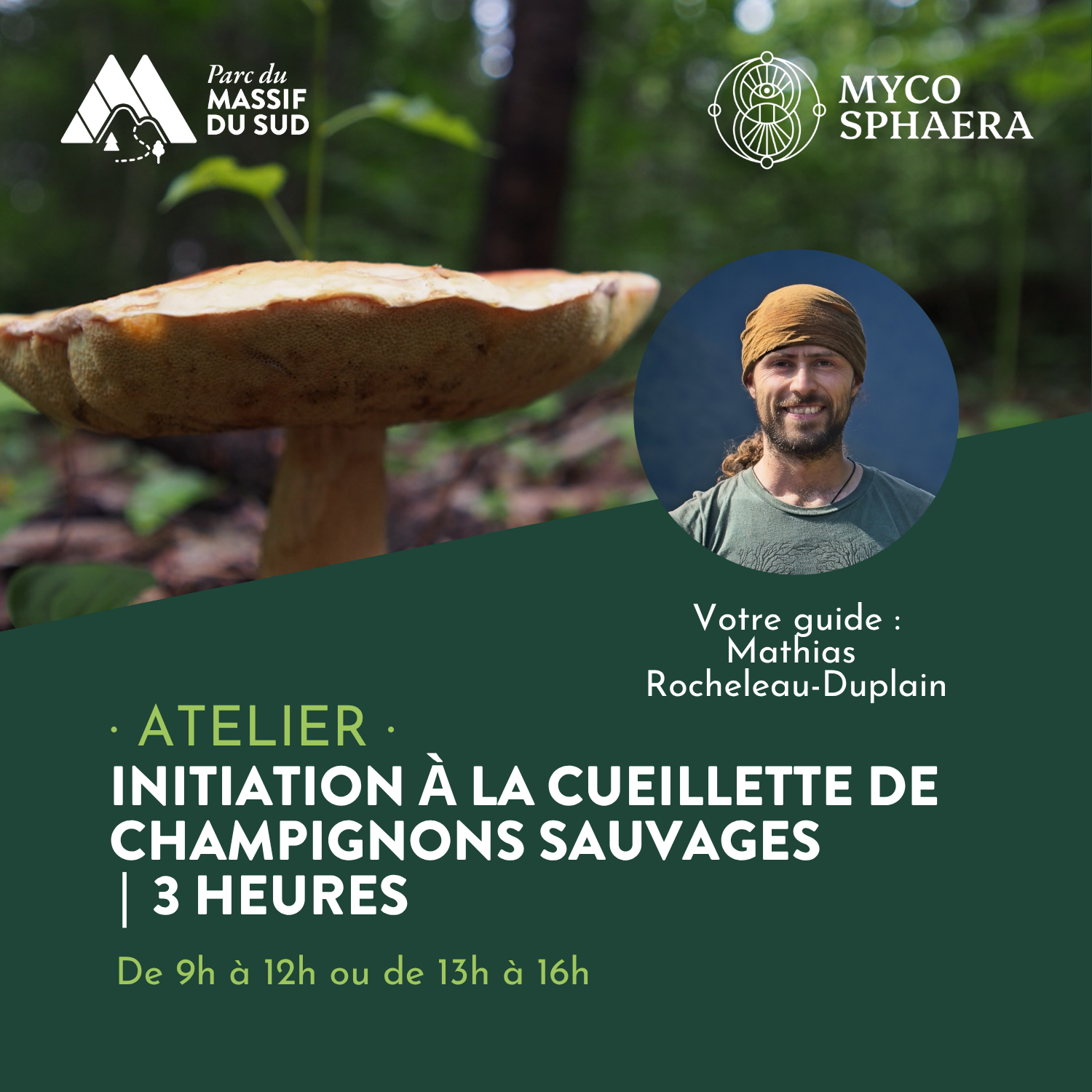 Initiation à la cueillette de champignons sauvages