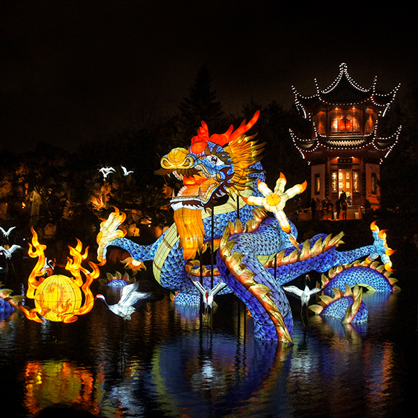 Jardins de lumières