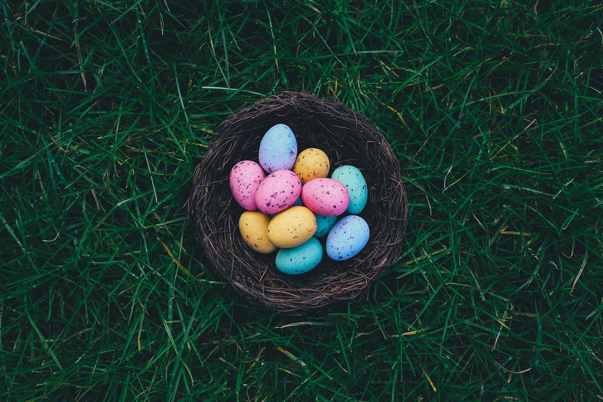 La visite du lapin de Pâques à l'Écomusée