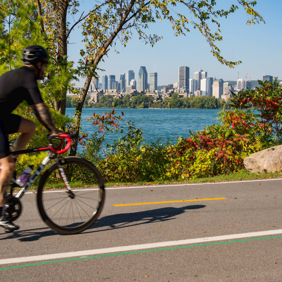 Le Festival Vélocité