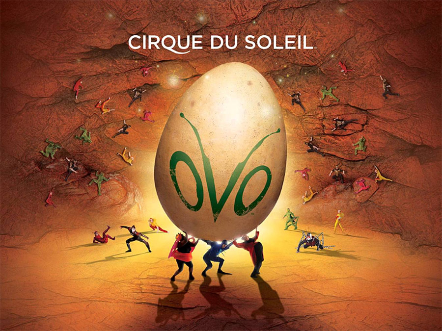 OVO du Cirque du Soleil