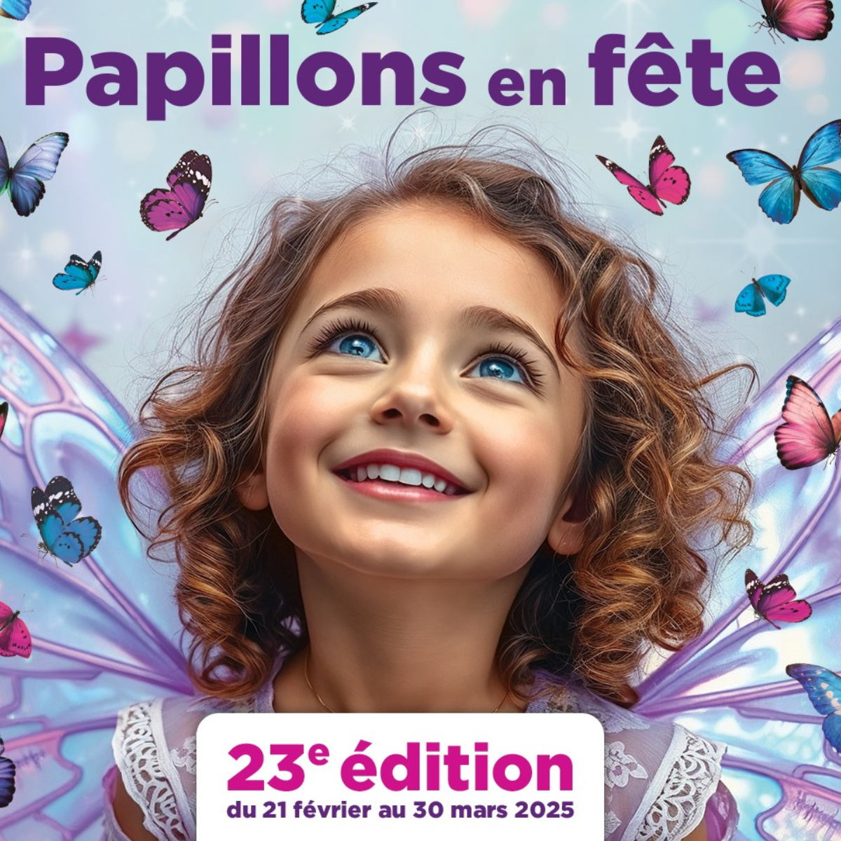 Papillons en fête