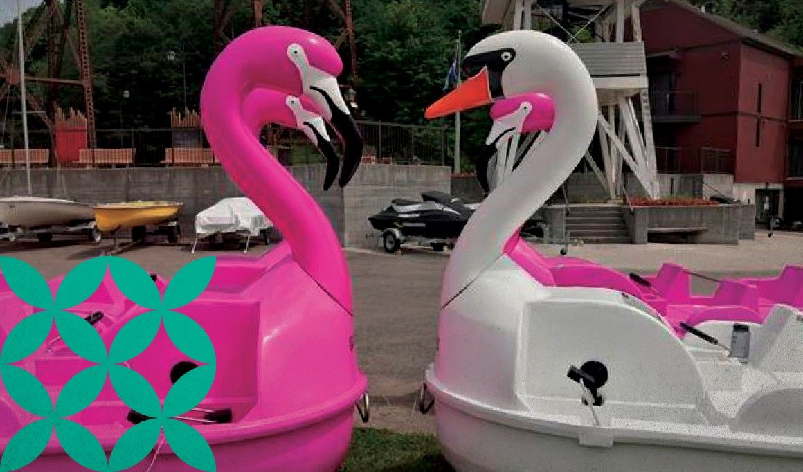 Pédalos loufoques au parc nautique de Cap-Rouge