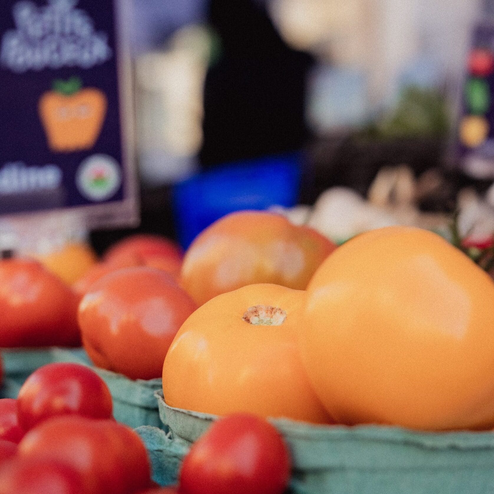 P'tit marché SJB 2025