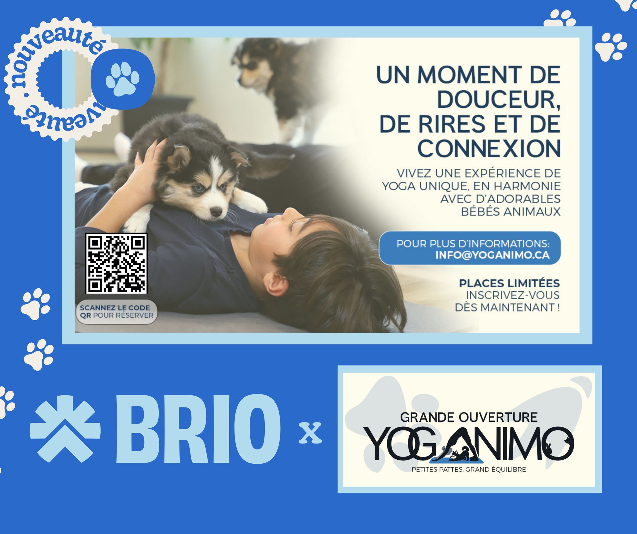Puppy Yoga