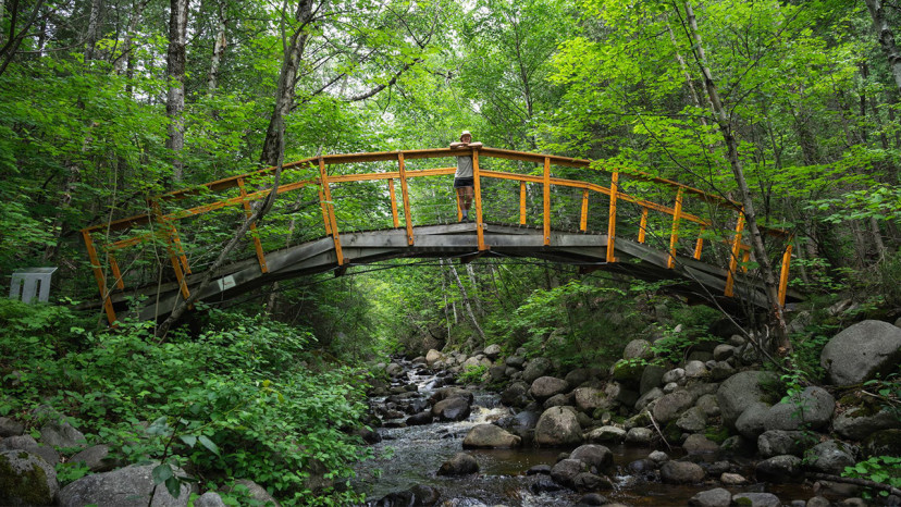 Randonné au sentier de la Forêt marine