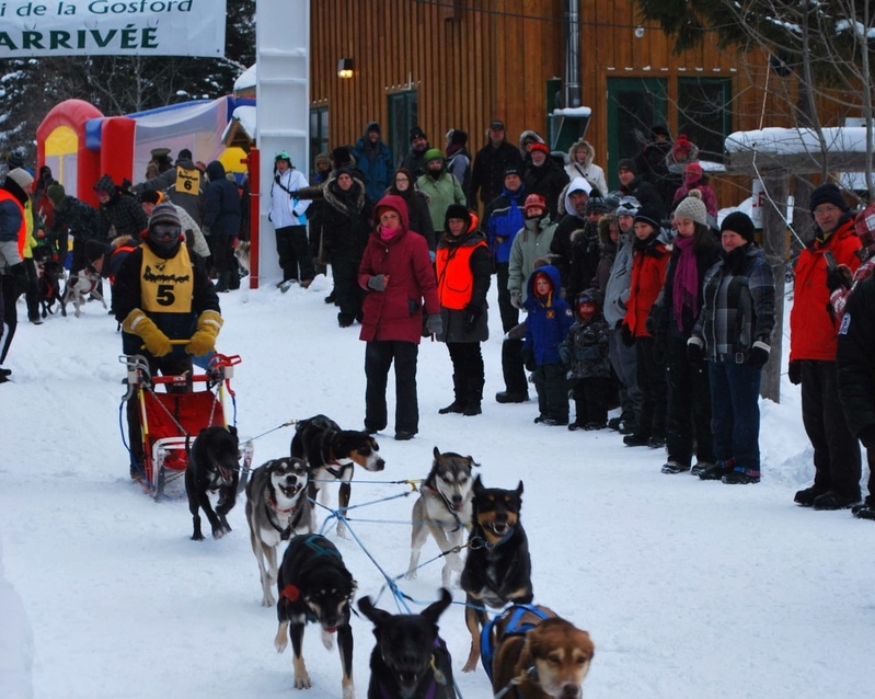 Randonnée en traîneau à chien