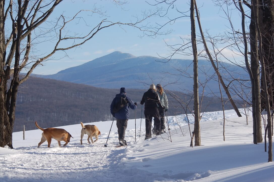 Raquette au Diable Vert