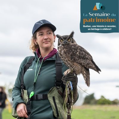 Spectacle : À la rencontre des oiseaux de proie