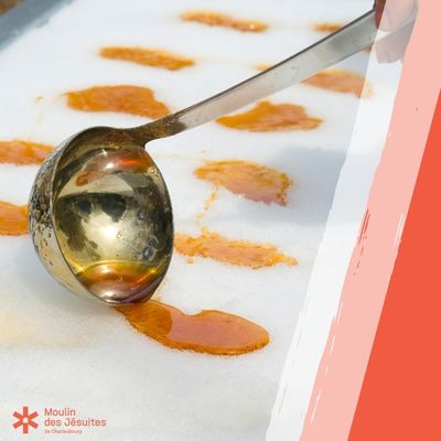 Tire d'érable sur la neige