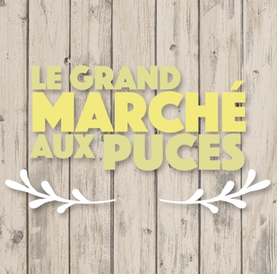 Grand Marché aux puces de Montcalm