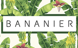 Bananier