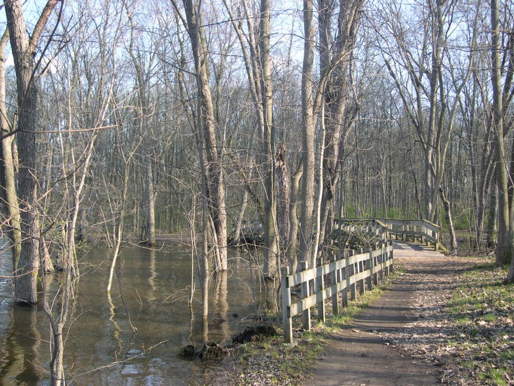 Bois Sainte-Dorothée