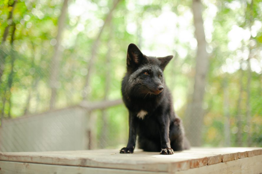 Centre de la Biodiversité de Bécancour