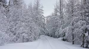 Club de ski de fond de l’Or blanc de Black Lake