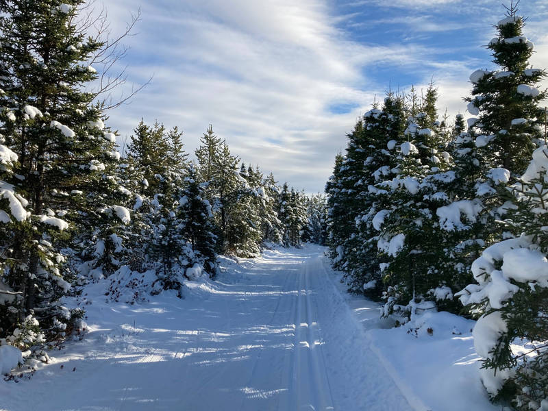 Club de ski de fond Rapido