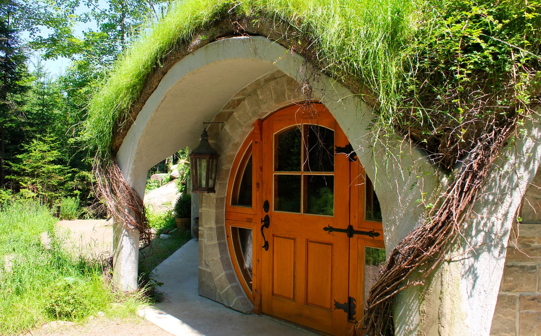 Entre Cîmes Et Racines