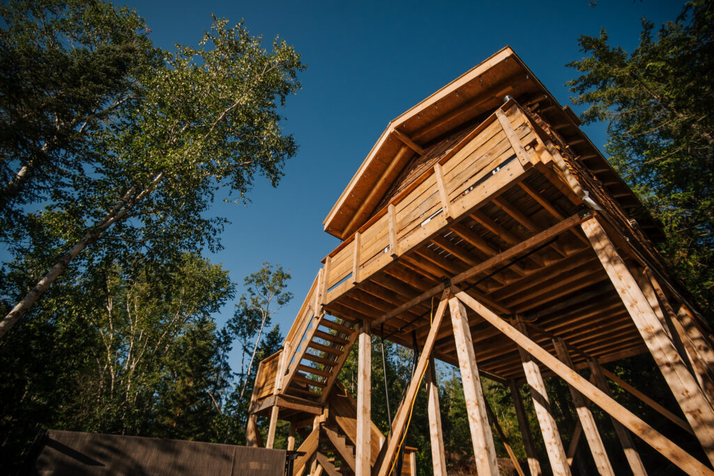 Entre Lemoine et l’Arbre