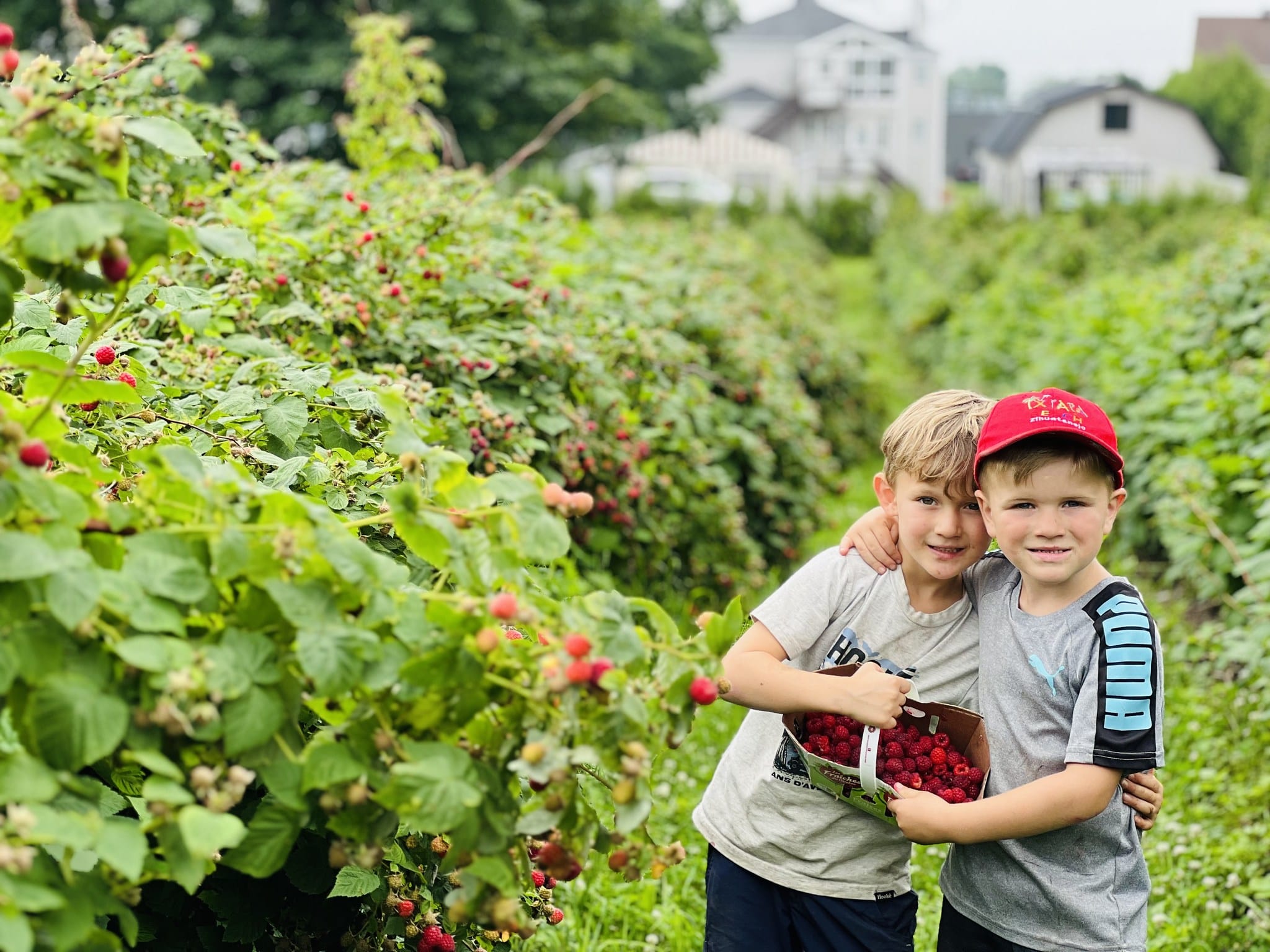 Ferme Bédard & Blouin