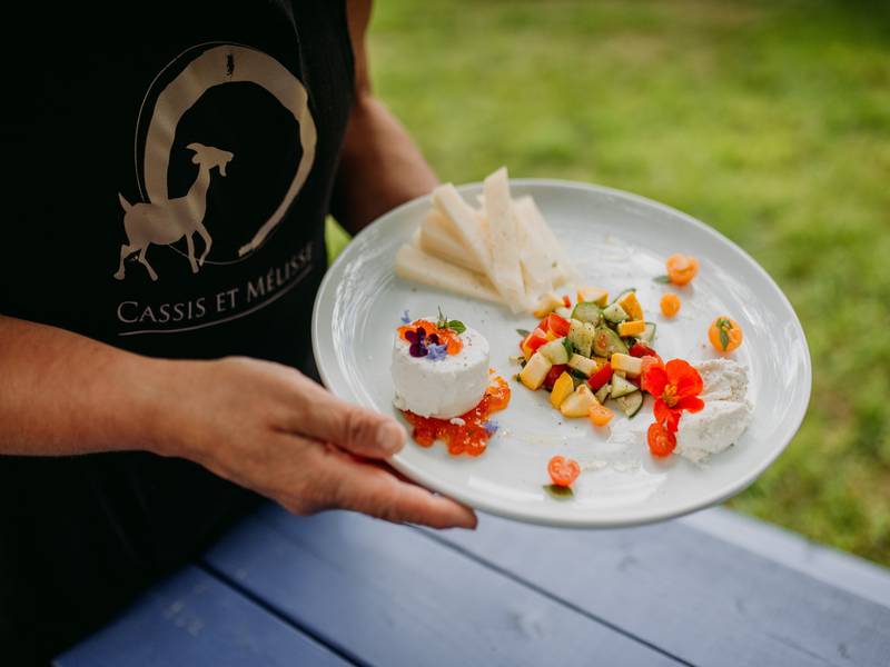 Ferme Cassis et Mélisse – Économusée de la fromagerie fermière : lait de chèvre