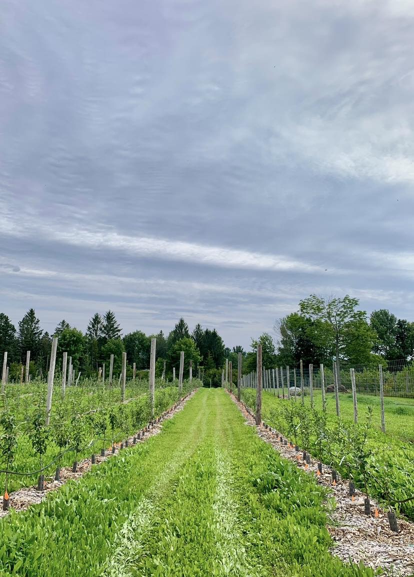 Ferme cidricole Moulton Hill