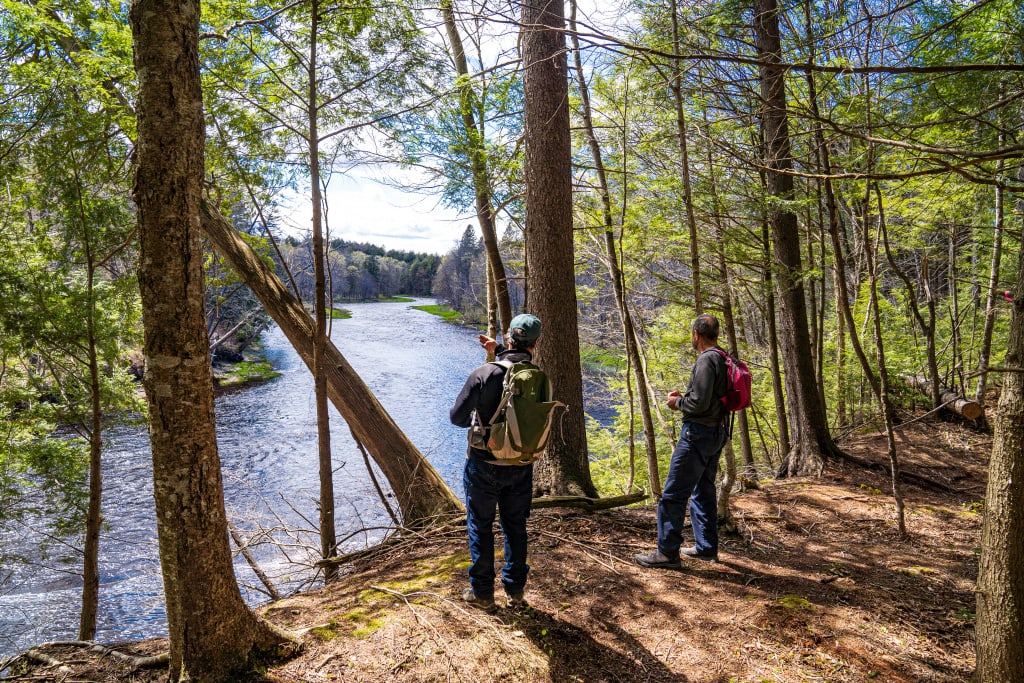 Forêt de la Seigneurie de Joly