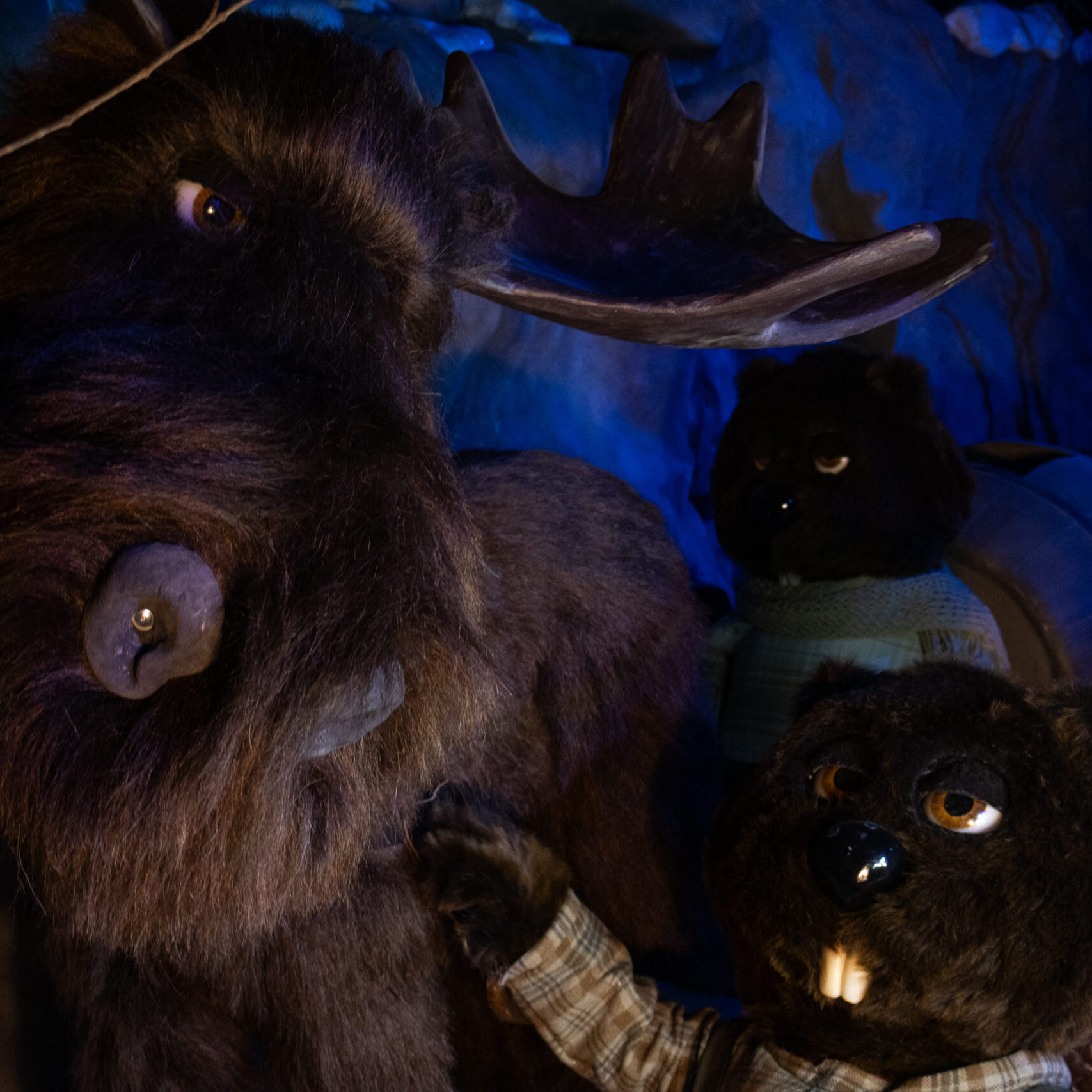 Jean Castor – Musée du sirop d’érable