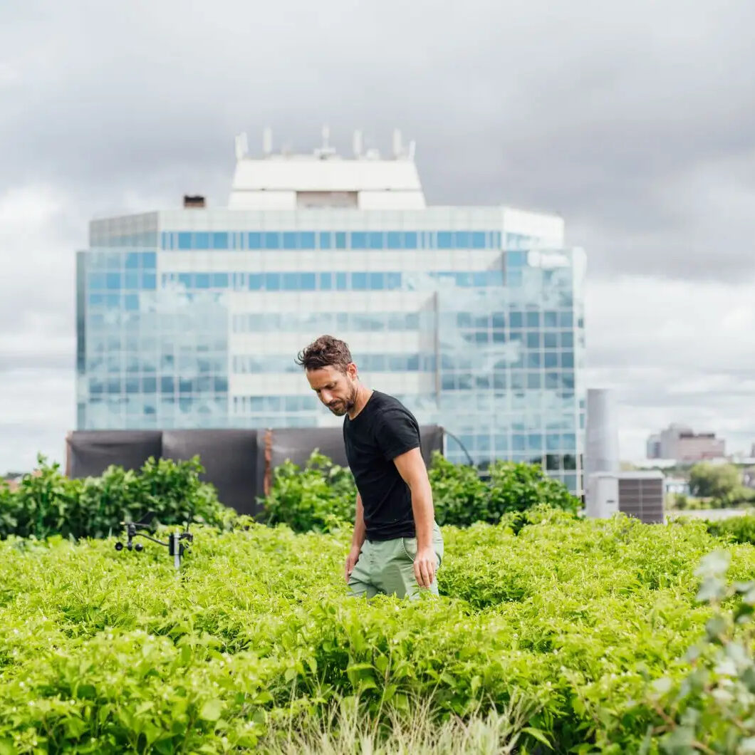 La Centrale agricole