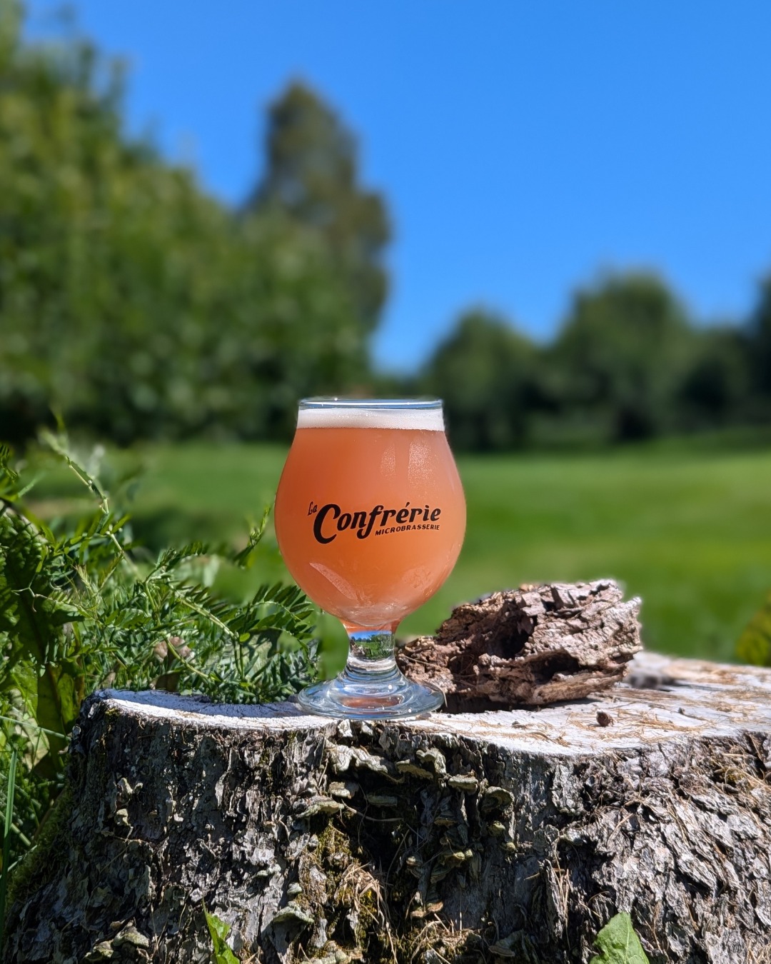 La Confrérie de Tilly | Microbrasserie