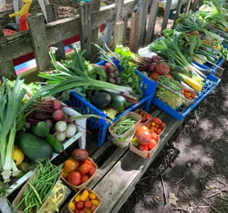 Le jardin collectif des Ateliers à la Terre