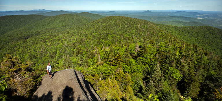 Le Parc d’environnement naturel de Sutton