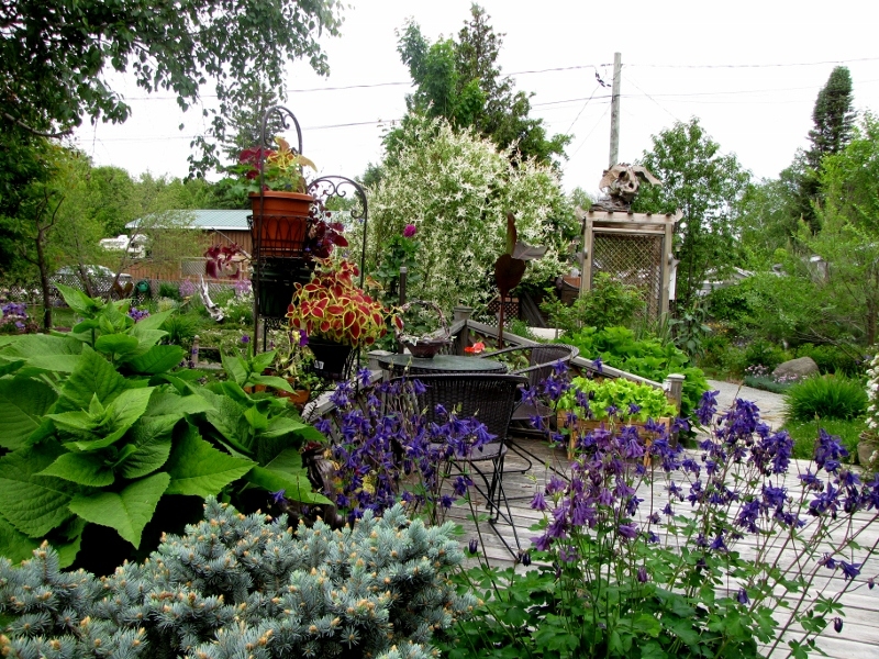 Les Jardins à Fleur de Peau