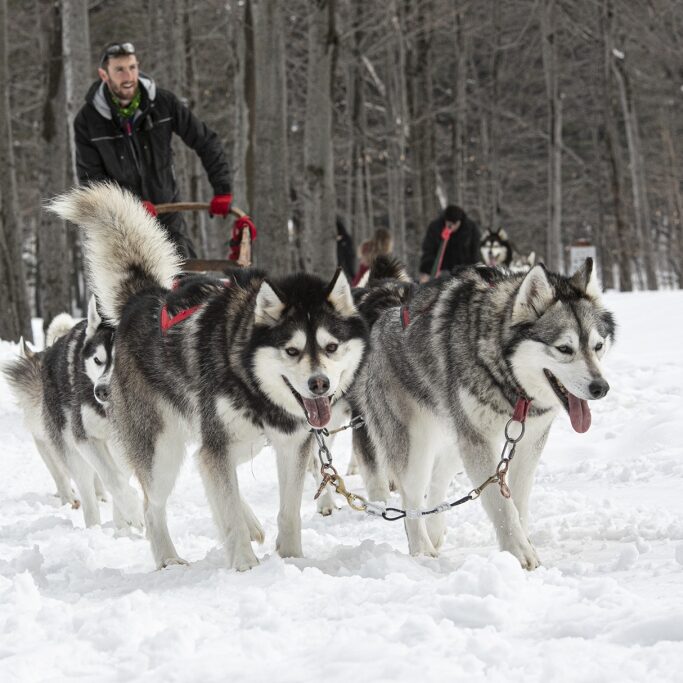 Les Secrets Nordiques