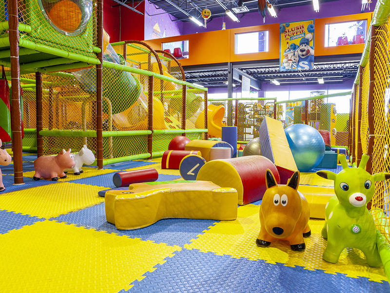 Mille Pattes amusement