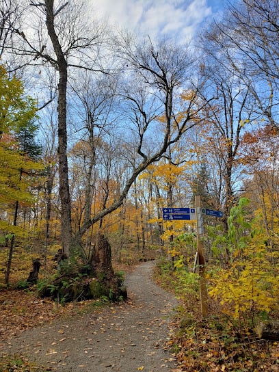 Parc Eco Laurentides