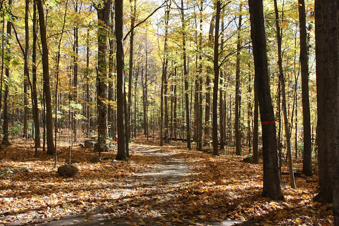 Parc régional éducatif du Bois-de-Belle-Rivière
