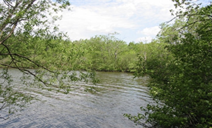 Parc riverain du Lac Saint-Augustin