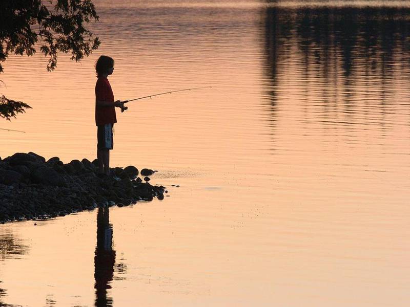 Réserve faunique Mastigouche
